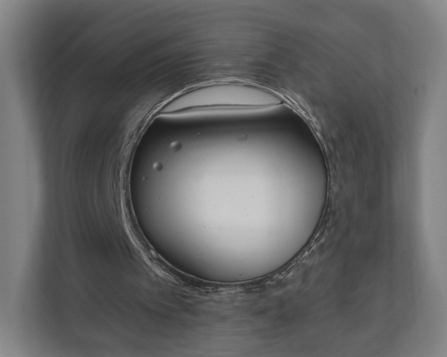 X0000110740097200906221036