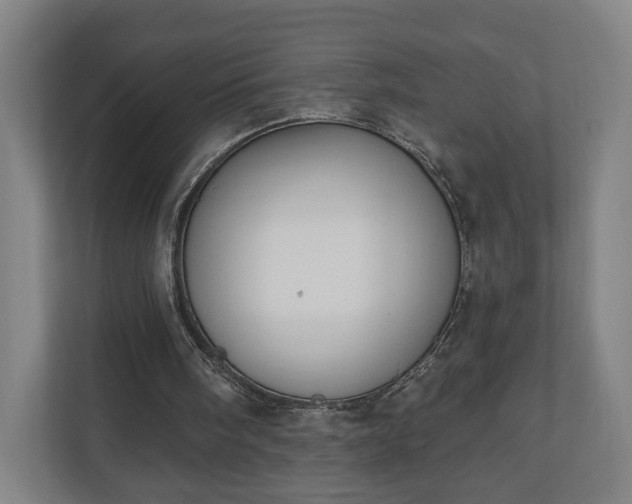 X0000110740098200906221036