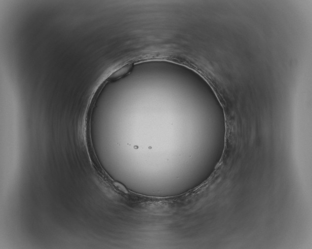X0000110740100200906221036