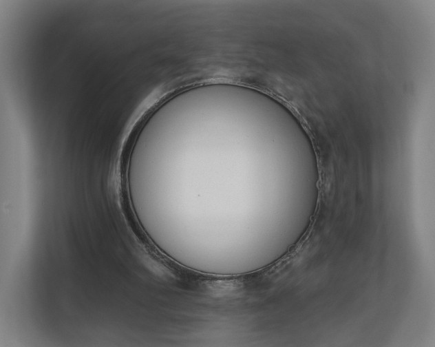 X0000110740102200906221036