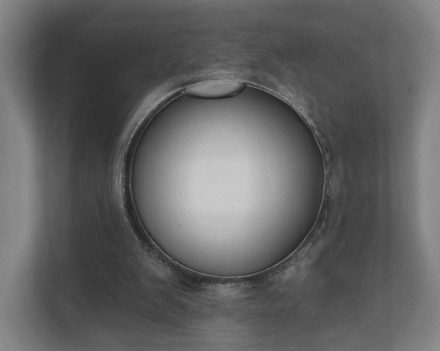 X0000110740103200906221036