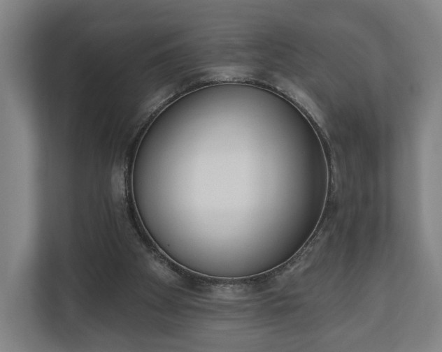 X0000110740105200906221036