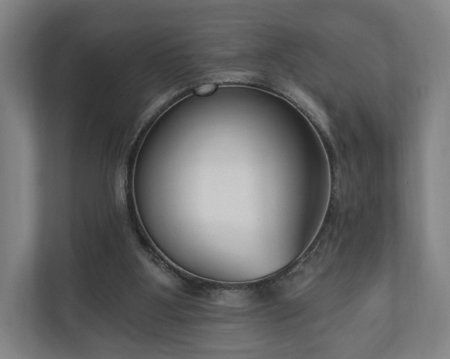 X0000110740107200906221036