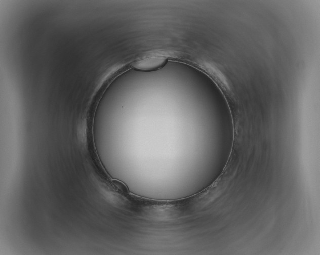 X0000110740108200906221036