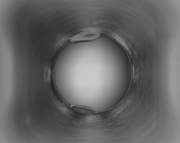 X0000110740109200906221036