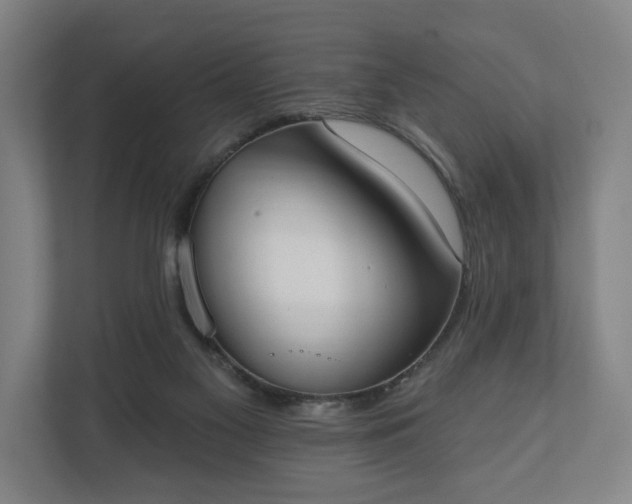 X0000110740117200906221036