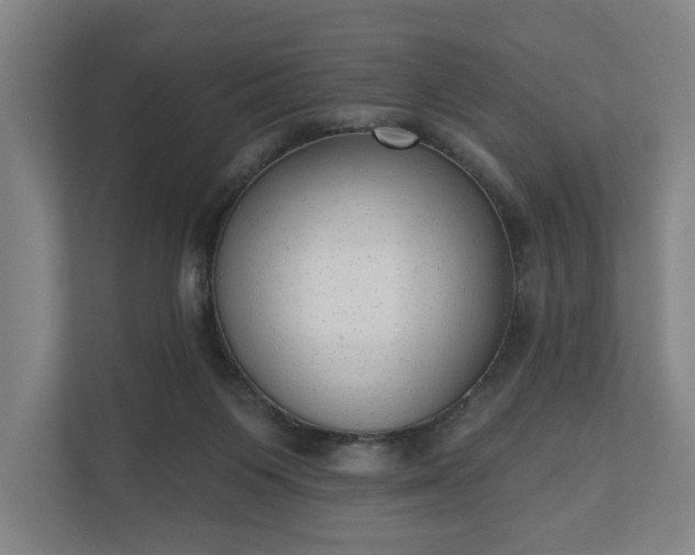 X0000110740119200906221036