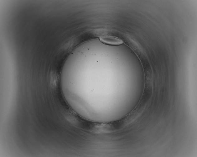 X0000110740125200906221036
