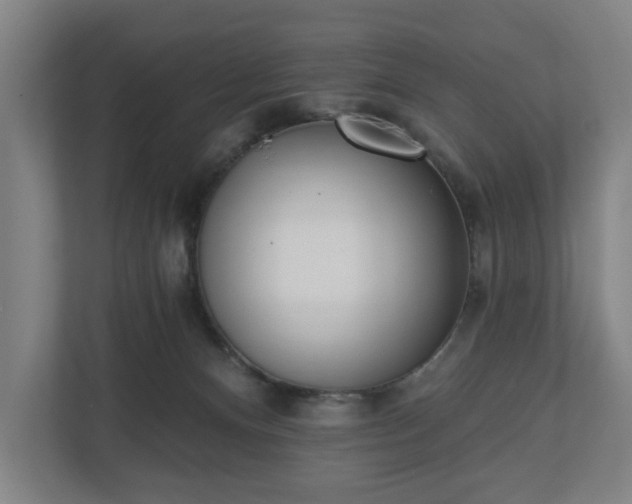 X0000110740128200906221036