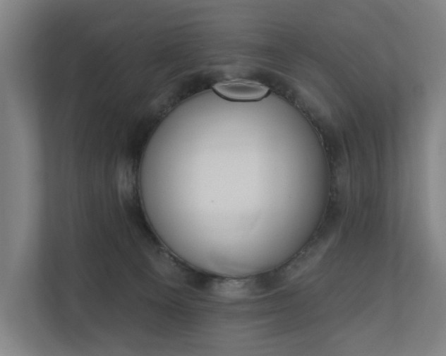 X0000110740129200906221036