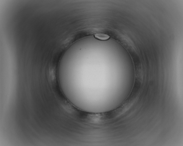 X0000110740131200906221036