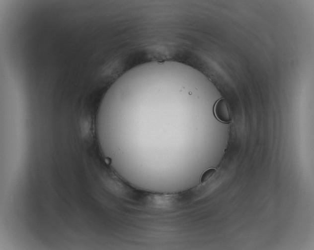 X0000110740134200906221036