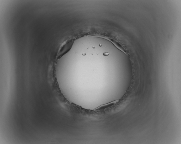 X0000110740144200906221036