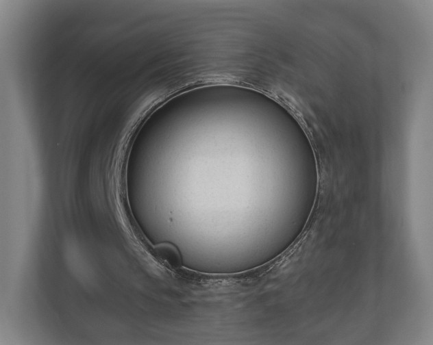 X0000110740145200906221035