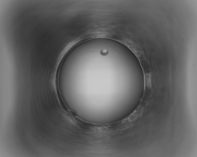 X0000110740147200906221035