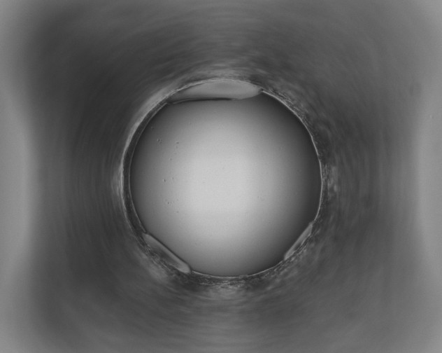 X0000110740148200906221035