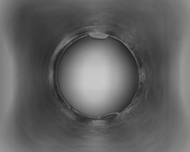 X0000110740150200906221035