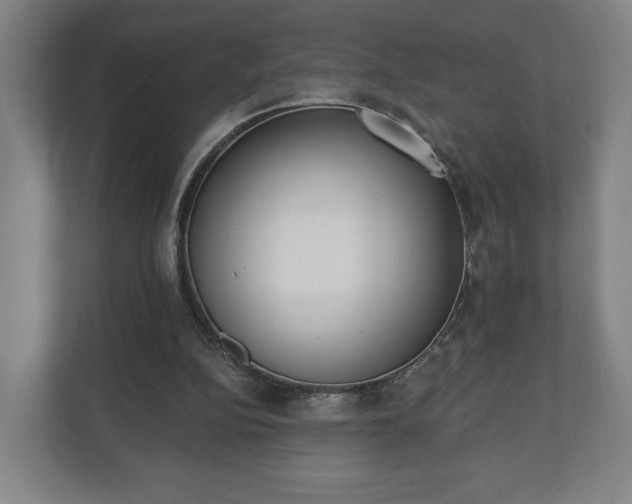 X0000110740152200906221035