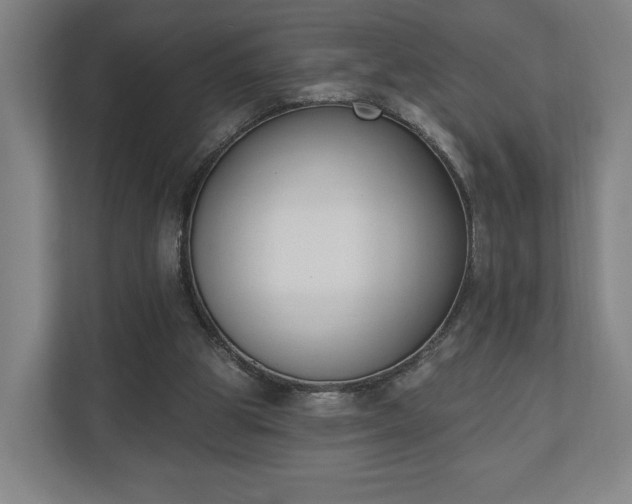 X0000110740153200906221035