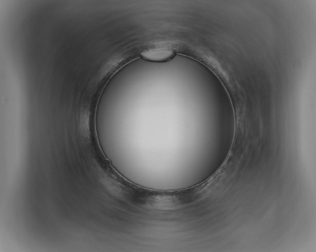 X0000110740154200906221035