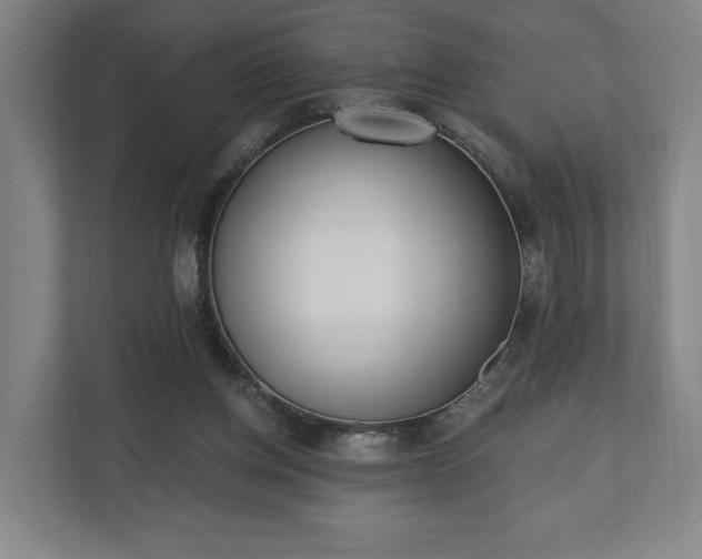 X0000110740158200906221035