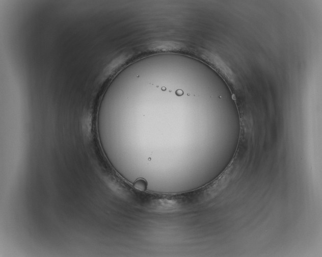 X0000110740159200906221035