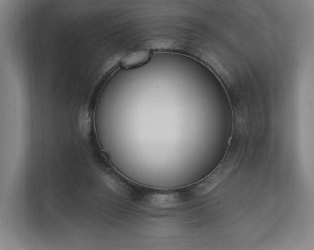 X0000110740160200906221035
