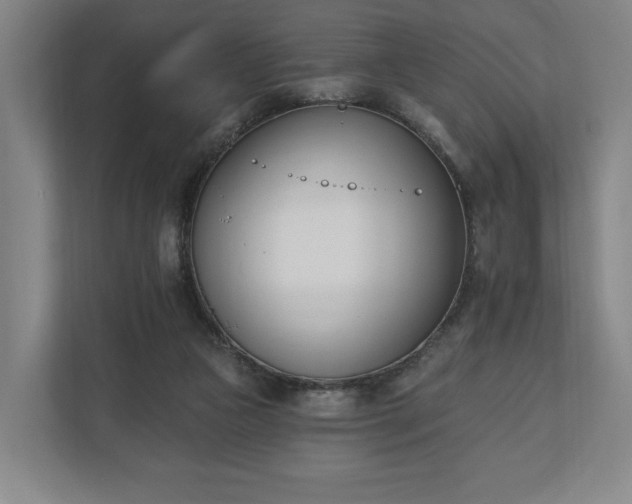 X0000110740161200906221035