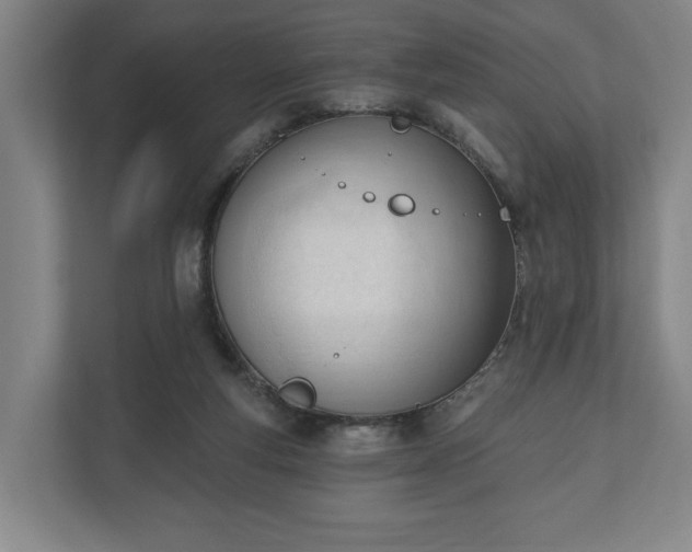 X0000110740163200906221035