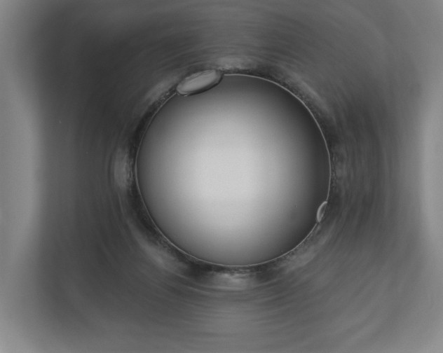 X0000110740164200906221036
