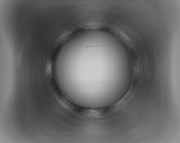 X0000110740166200906221036
