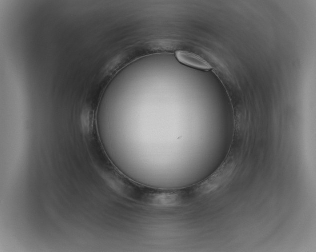 X0000110740168200906221036