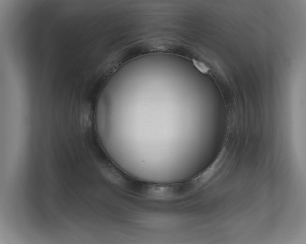 X0000110740174200906221036