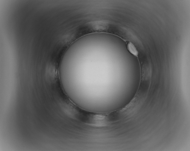 X0000110740176200906221036