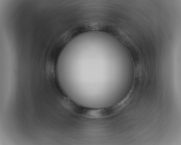 X0000110740178200906221036