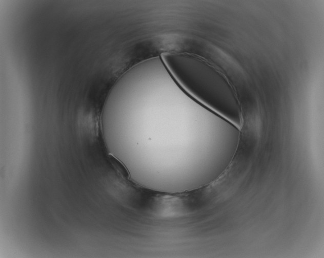 X0000110740180200906221036