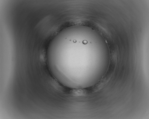 X0000110740181200906221036