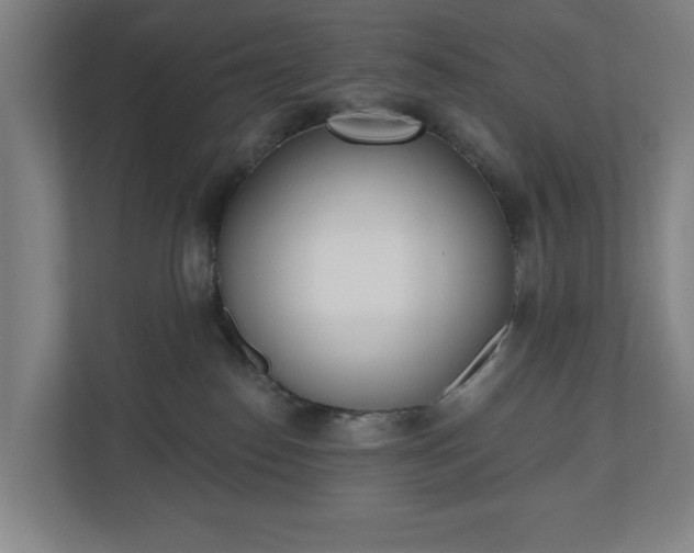 X0000110740186200906221036