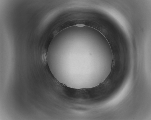 X0000110740190200906221036