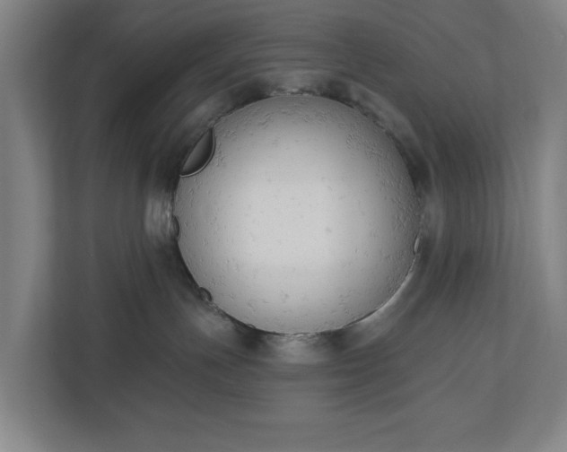 X0000110740191200906221036