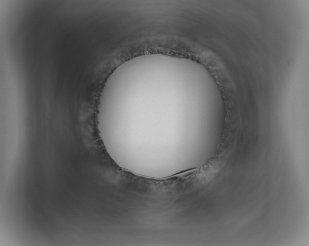 X0000110740192200906221036