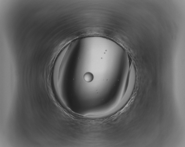X0000110740193200906221035