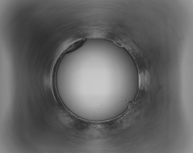 X0000110740195200906221035