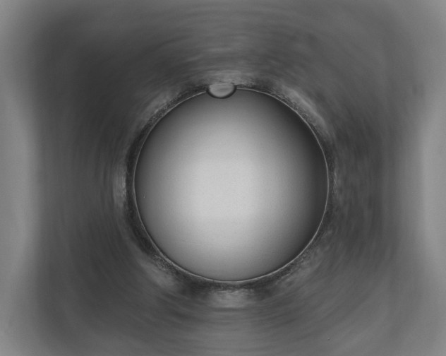 X0000110740202200906221035
