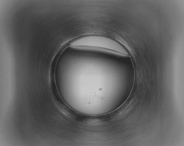 X0000110740203200906221035