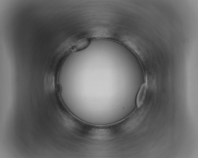 X0000110740205200906221035