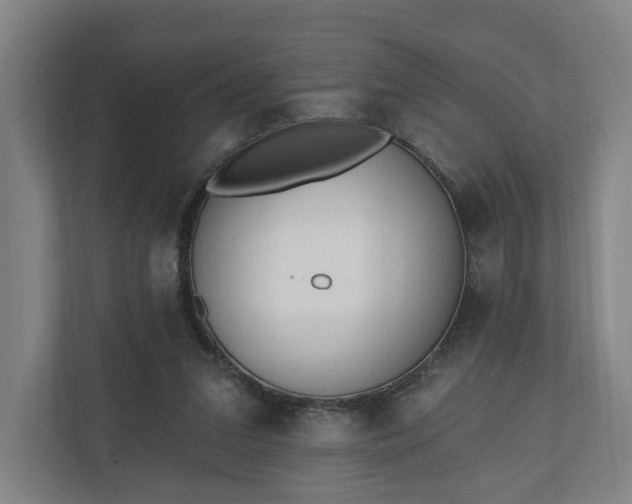 X0000110740207200906221035