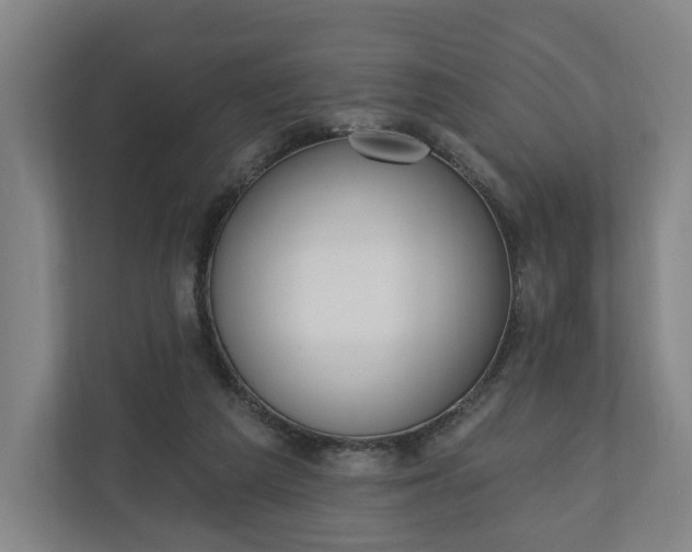 X0000110740209200906221035