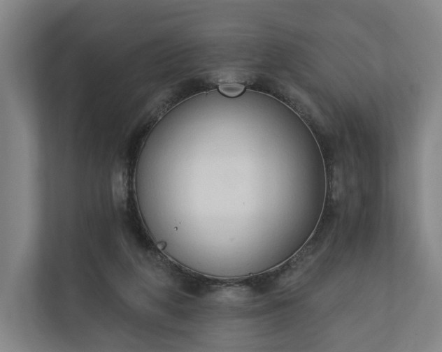 X0000110740210200906221035