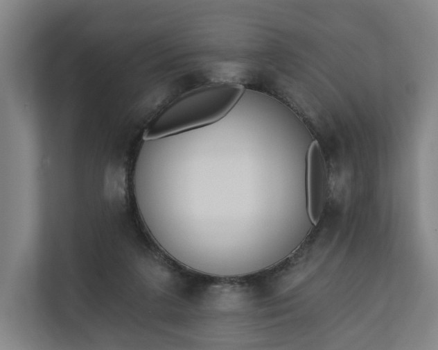 X0000110740211200906221035